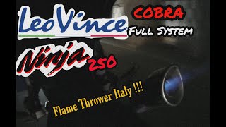 Leovince COBRA Ninja 250 fi UNBOXING   testsound FULLSYSTEM