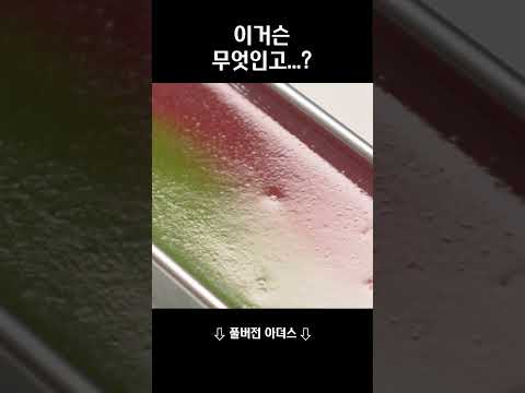 아름답고 영롱한 꾸덕이의 정체는?!
