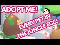 Every Pet in the Jungle Egg 🌴🥚  Adopt Me! on Roblox