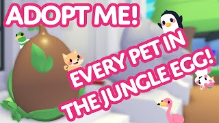 Every Pet in the Jungle Egg 🌴🥚  Adopt Me! on Roblox