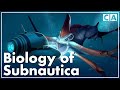 The Biology of Subnautica | Part I