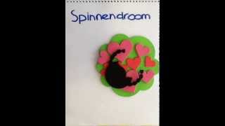 Spinnendroom