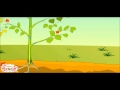Photosynthesis Concepts and Processes