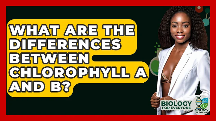 What Are The Differences Between Chlorophyll A And B? - Biology For Everyone
