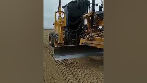 cat grader #new video #shots #shortvideo #youtubeshorts