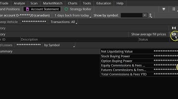 Missing Columns on ThinkorSwim Import