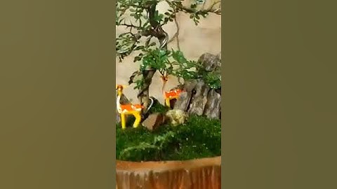 #hướng dẫn làm tiểu cảnh hòn non bộ sân vườn #hocakoidep