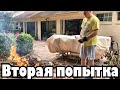 Девки! Вы ЧО разорались то? СТОП!