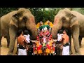 මද්දු බලන්න කැබිලිත්තට ආ පුංචි දෝණි | Kabiliththa Temple | Kabiliththa Wild Elephant