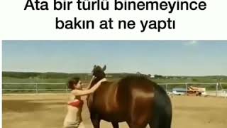 Kadın ata bir türlü binemeyince bakın at ne yaptı