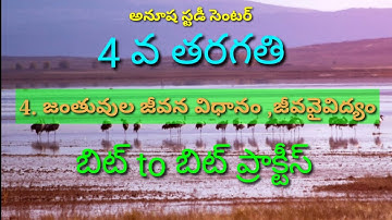 TET DSC SCIENCE SOCIAL 4TH CLASS EVS|4. జంతువుల జీవన విధానం ,జీవవైవిద్యం|బిట్ to బిట్ ప్రాక్టీస్
