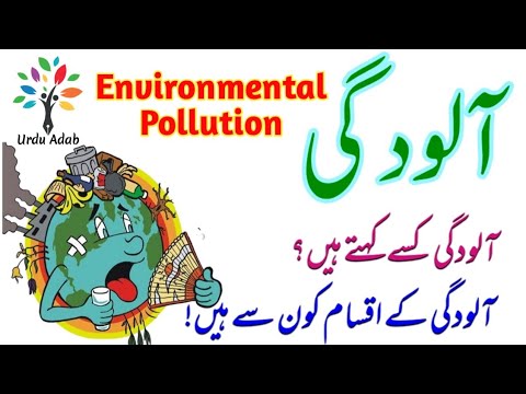 Environmental Pollution / Part 1/ Air Pollution/Mahol Ki Aludgi/ماحول کی آلودگی (فضائی آلودگی)