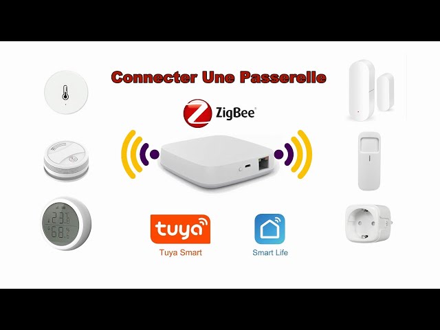 PASSERELLE ZIGBEE COMMENT LA CONNECTER !!! 