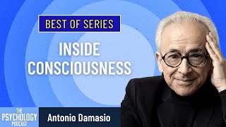 Best of Series: Inside Consciousness || Antonio Damasio