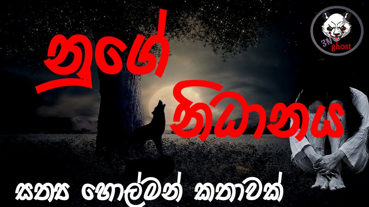 නුගේ නිධානය  | Holman katha | @3NGhost |  Sinhala holman katha | ghost story 292
