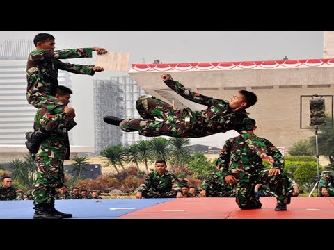 5 Seleb Jagoan Paling Ditakuti di Indonesia. 
