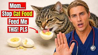 14 Human Foods Your Cat Should Never Eat (99% of Owners Have No Idea)