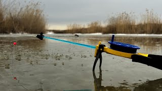 :  ˨ 2025-2026!!!     !!!