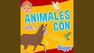 Video thumbnail of "Blippi Español - La Canción de los Dinosaurios"