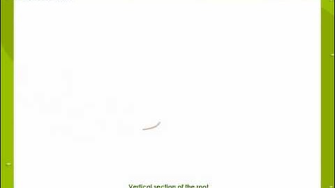 Meristematic Cells In Plant Tissues