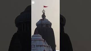 Miracle Jay Jagannath