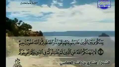 سورة الممتحنة 60 - 114 مشاري العفاسي - قناة المجد للقرآن الكريم