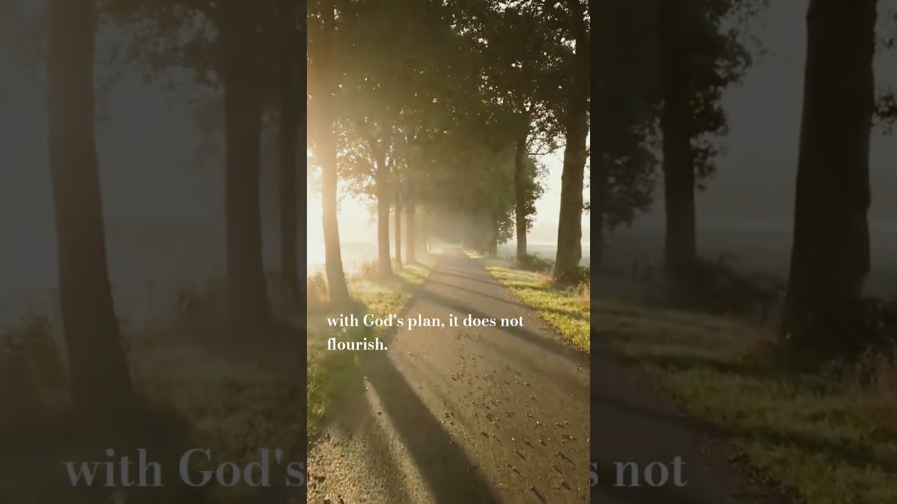 Согласованность приносит мир. Подражание приводит к истощению. Сохраните это на те дни, когда вам...