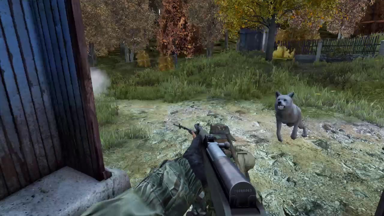 dayZ SA .61 wolves in myshkino [feat] bfly - YouTube