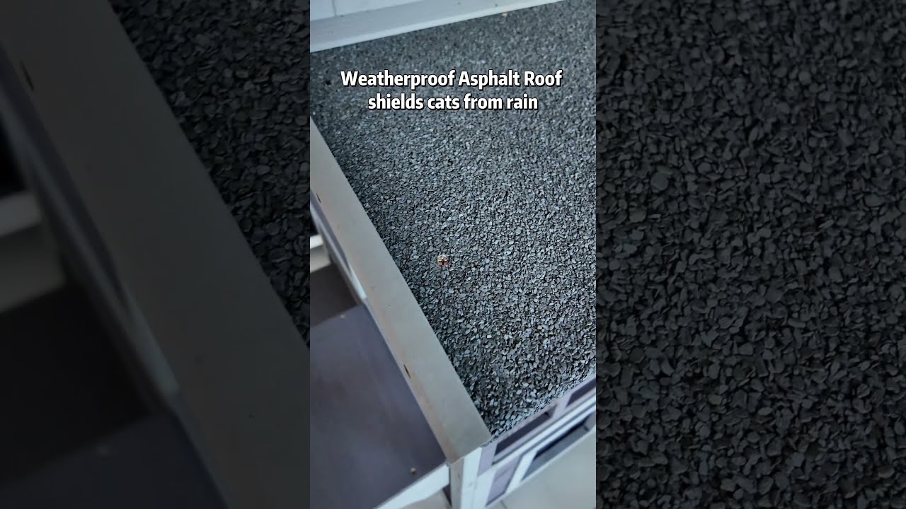 Aivirtuvin Cat House Help Strays Find Home Aivituvin Catshelter Shelter Catlover