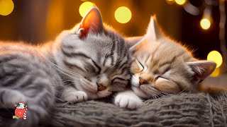 Instant Relaxation Music for Cats and Kittens 😻 Cat Music to Your Cat Relax and Sleep