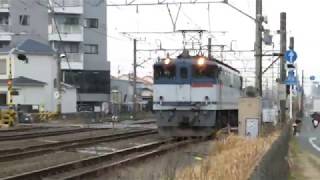 JR貨物・EF65形藤沢跨線橋のとこ上り下り（Japan Freight Railway）