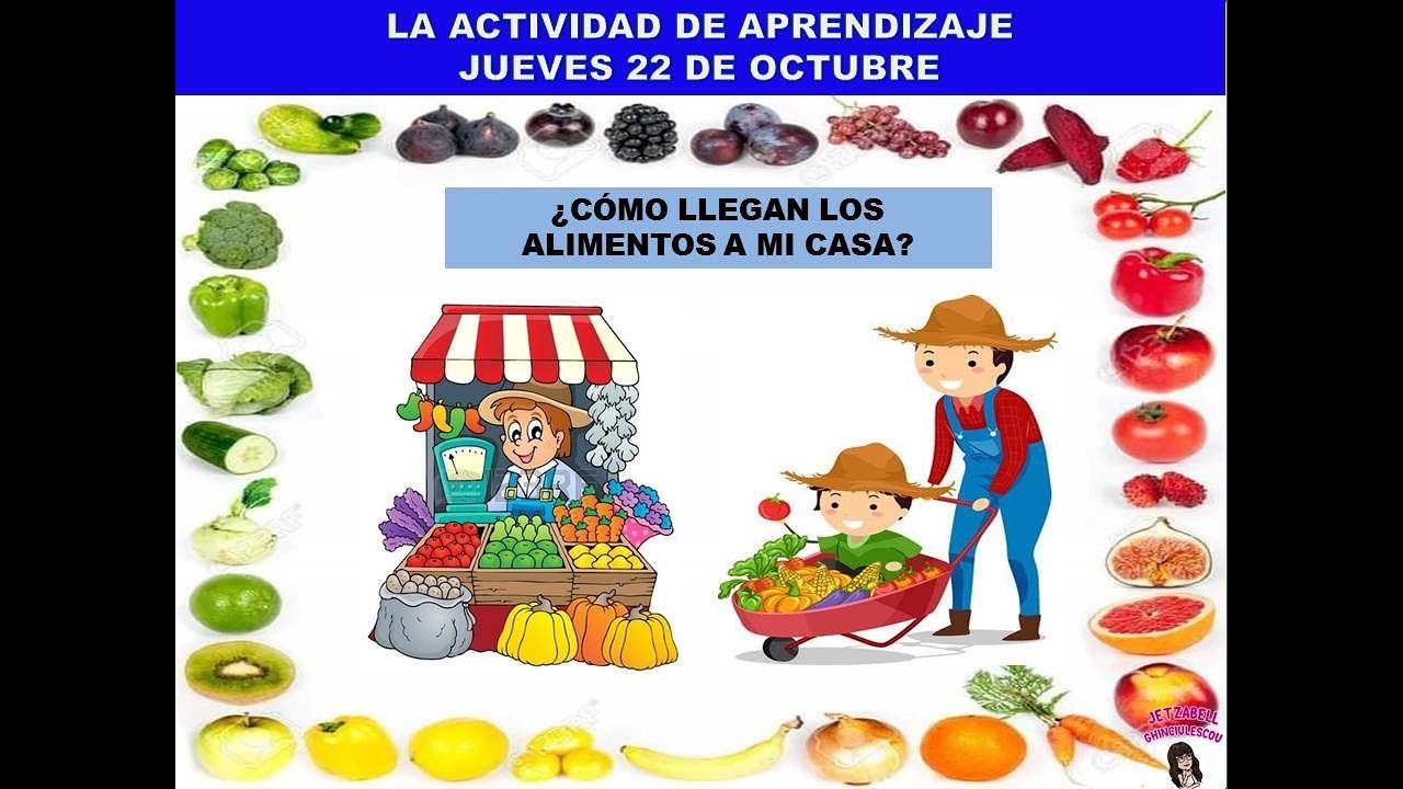 ¿Cómo llegan los alimentos a mi casa? YouTube ¿Cómo llegan los alimentos a mi casa? YouTube