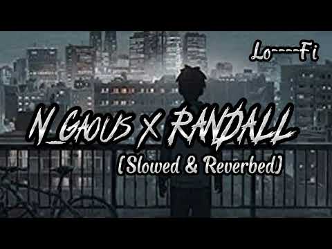 N Gaous X RANDALL S Hab Slowed Reverb Lo Fi The Foul Group 
