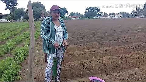 Como é feito o feijão preto?