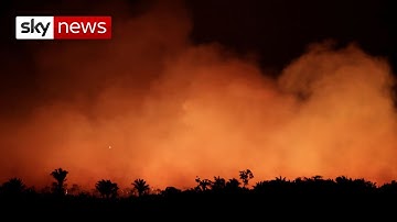 Outcry grows over Amazon fires