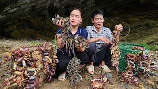 Harvest Frogs Crabs After Summer Rain Goes To Market Sell - Lý Thị Ca