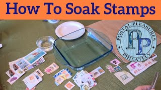 How To Soak Stamps  Tips On Removing Stamps From Paper For Beginner & Experienced Philatelists