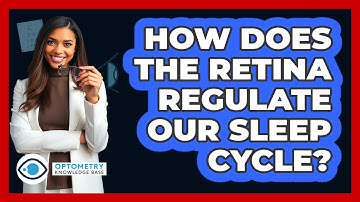How Does The Retina Regulate Our Sleep Cycle? - Optometry Knowledge Base