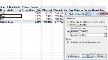Học Excel Chuyên Nghiệp |Bài 15:Pivot Table:  Sắp xếp dữ liệu trong Pivot Table # 7