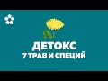 7 трав и специй для детокса и очистки печени в домашних условиях