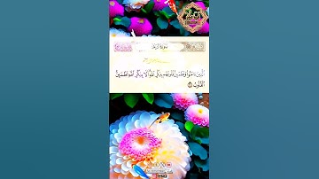 #سورة الرعد 28-29 #قرآن #عبدالباسط_عبدالصمد #quran #قران_كريم #آية #ارح_قلبك #تلاوة_خاشعة #fyp
