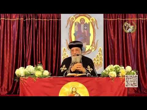 عظة البابا تواضروس اليوم 26 نوفمبر 2025 اجتماع البابا تواضروس الثاني 26 11 2025