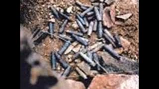 Rage against the Machine-pocket full of shells