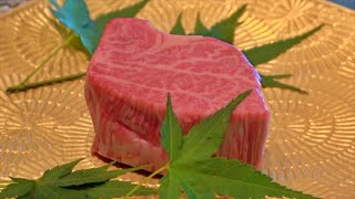 Premium wagyu tenderloin steak lunch course | teppanyaki in Japan