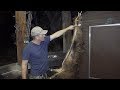 Cleaning a wild boar {One Take} No edits! DeerMeatForDinner