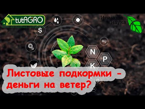 Видео: Требования к удобрению для редьки - узнайте о подкормке для растений