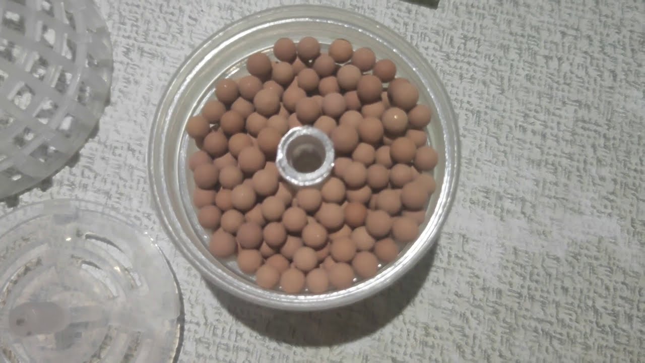 Too easy and awesome # Mineral Aquatic Media Moss Ball Review - Java moss - मीडिया मॉस बॉल