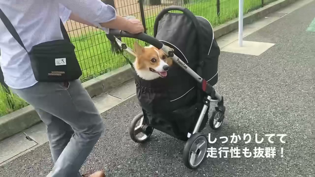 ピッコロカーネのタントを買いました