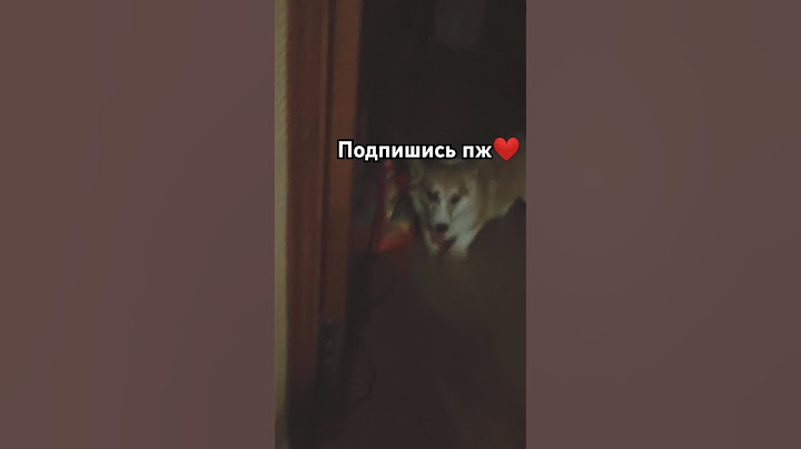 Борьба с пылесосом Вовой #собака #корги #мем