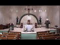 St anthony of padua live stream